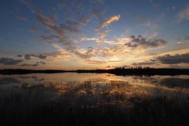 Everglades Ulusal Parkı, Florida 'daki Nine Mile Pond' da gün doğumu.