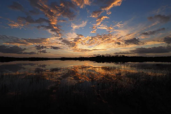 Сонячний підйом над Nine Mile Pond у національному парку Еверґлейдс (Флорида).. — стокове фото