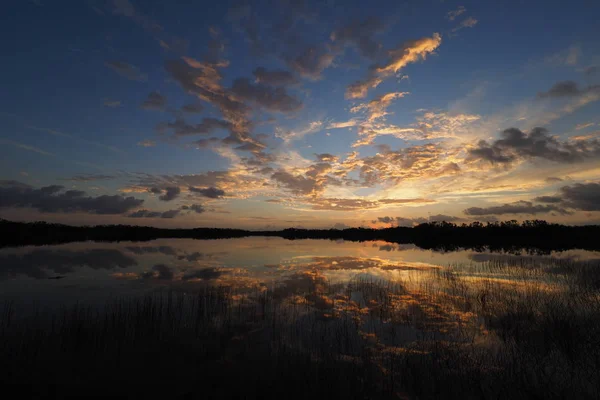 Lever de soleil sur l'étang Nine Mile dans le parc national des Everglades, Floride . — Photo