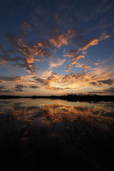 Lever de soleil sur l'étang Nine Mile dans le parc national des Everglades, Floride . — Photo