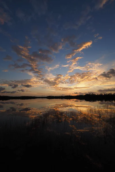Восход солнца над девятимильным прудом в Национальном парке Эверглейдс, Флорида . — стоковое фото