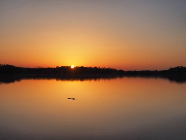 Dokuz mil gölet Everglades Ulusal Park, Florida üzerinde gündoğumu, timsah.