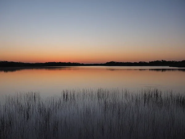 Sonnenaufgang auf neun Meilen Teich im Everglades Nationalpark, Florida. — Stockfoto