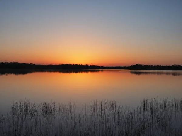 Восход солнца на девяти мильном пруду в Национальном парке Эверглейдс, Флорида . — стоковое фото