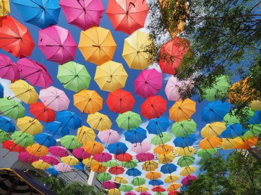 Şemsiye Sky bir Coral Gables, Florida.