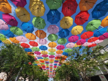Şemsiye Sky bir Coral Gables, Florida.