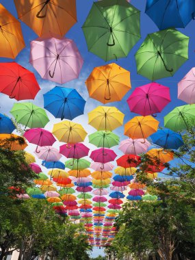 Şemsiye Sky bir Coral Gables, Florida.