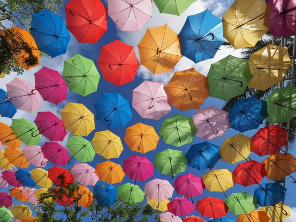 Ciel parapluie à Coral Gables, Floride . — Photo