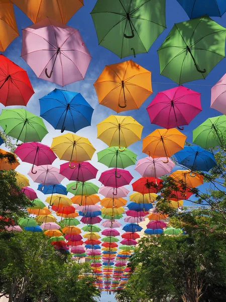 Céu guarda-chuva em Coral Gables, Florida . — Fotografia de Stock