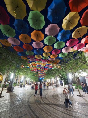 Coral Gables, Florida, gece gökyüzünde şemsiye.