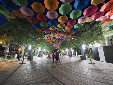 Coral Gables, Florida, gece gökyüzünde şemsiye.