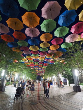 Coral Gables, Florida, gece gökyüzünde şemsiye.