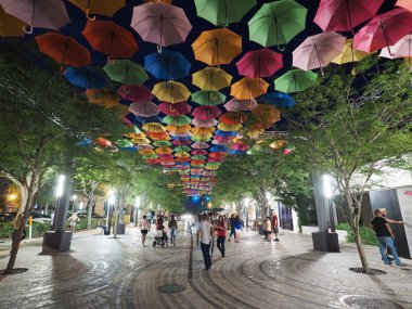 Coral Gables, Florida, gece gökyüzünde şemsiye.