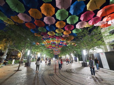 Coral Gables, Florida, gece gökyüzünde şemsiye.
