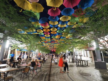 Coral Gables, Florida, gece gökyüzünde şemsiye.