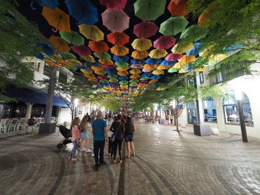 Coral Gables, Florida, gece gökyüzünde şemsiye.