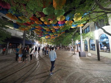Coral Gables, Florida, gece gökyüzünde şemsiye.