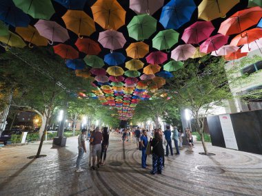 Coral Gables, Florida, gece gökyüzünde şemsiye.