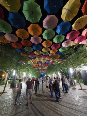 Coral Gables, Florida, gece gökyüzünde şemsiye.