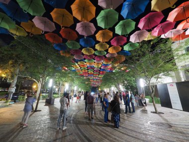 Coral Gables, Florida, gece gökyüzünde şemsiye.