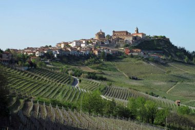 Şarap Piemonte bölgesi Kuzey İtalya'nın La Morra şehir.