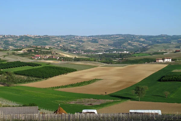 Die piemontesische Weinregion Norditaliens. — Stockfoto