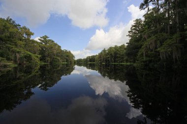 Fisheating Creek, Florida.