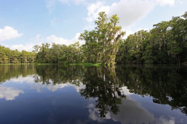 Fisheating Creek, Florida.