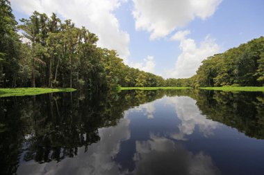 Fisheating Creek, Florida.