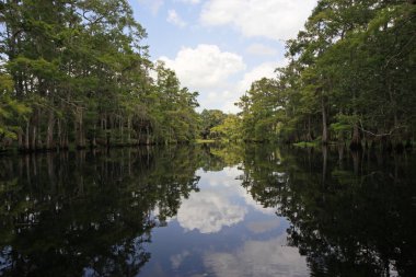 Fisheating Creek, Florida.