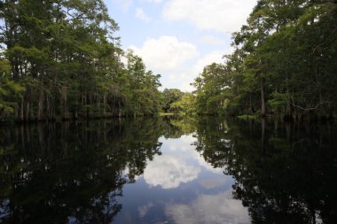 Fisheating Creek, Florida.