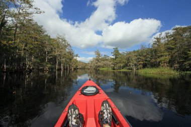 Kırmızı kayık Fisheating Creek, Florida üzerinde.