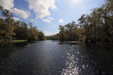 Fisheating Creek, Florida.