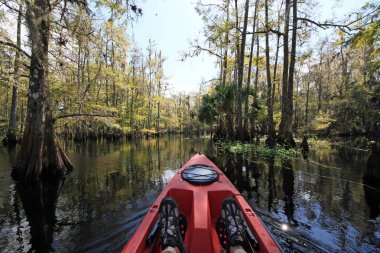 Kırmızı kayık Fisheating Creek, Florida üzerinde.