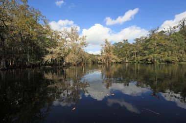 Fisheating Creek, Florida.