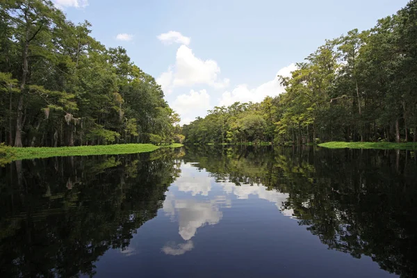 Fisheating Creek, Florida. — Fotografia de Stock