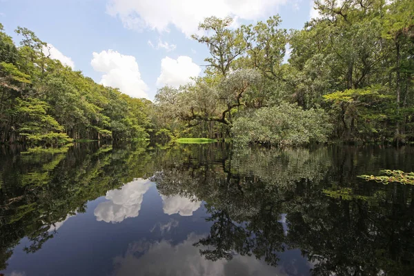 Fisheating Creek, Florida. — Stok fotoğraf