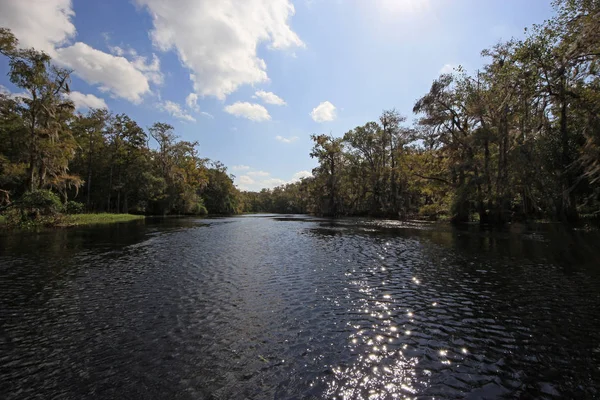 Fisheating Creek, Florida.