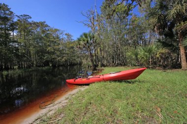 Kırmızı kayık Fisheating Creek, Florida üzerinde.