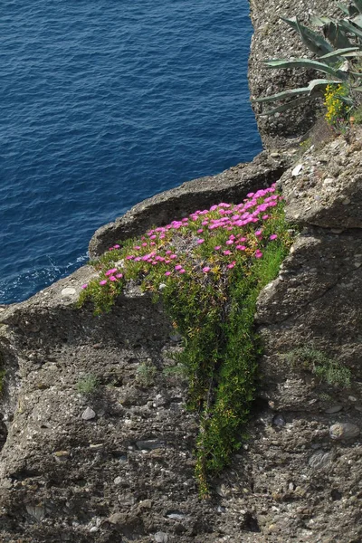 Costa rocosa y acantilados de Portofino, Italia . — Foto de Stock