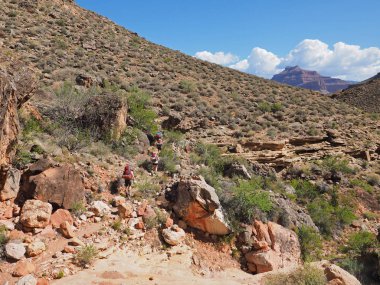 Büyük Kanyon Ulusal Parkı, Arizona.