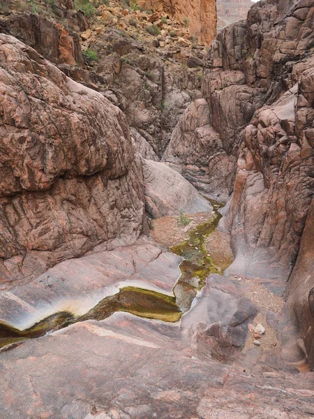 Anıt Creek Grand Kanyon Milli Parkı'nda. — Stok fotoğraf