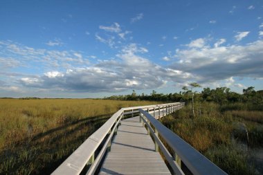 PA-Hay-yeter boardwalk Everglades Ulusal Park, Florida.