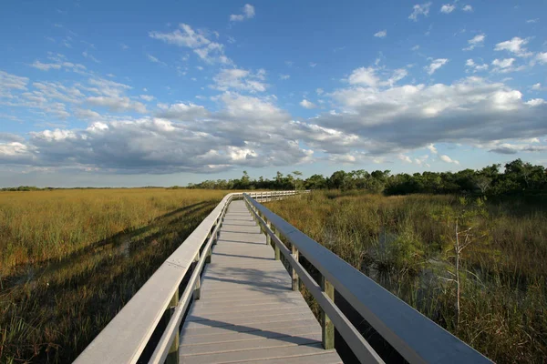PA-Hay-yeter boardwalk Everglades Ulusal Park, Florida.