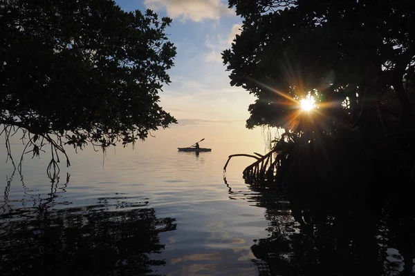 Key Biscayne, Florida mangroves Kayak.