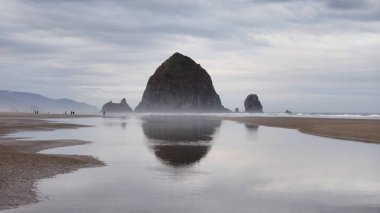 Haystack Rock top Beach, Oregon üzerinde.