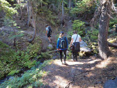 Yürüyüşçüler Mount Hood, Oregon Tilly Jane izinde.