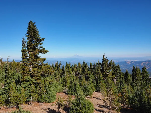 Mount Jefferson y Mount Rainier, Oregon . — Foto de Stock