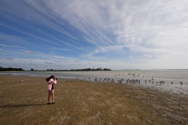 Young girl photographing shorebirds. clipart