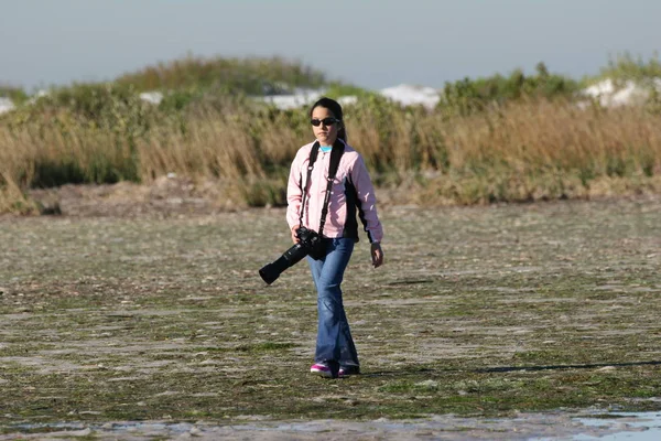Jeune fille photographiant des oiseaux de rivage . — Photo